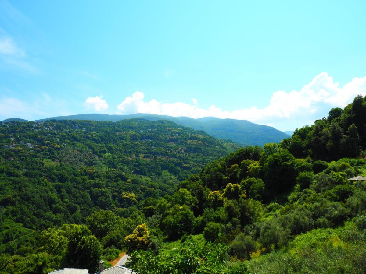 Felitsia Apartments & Studios Agios Ioannis  Exterior photo