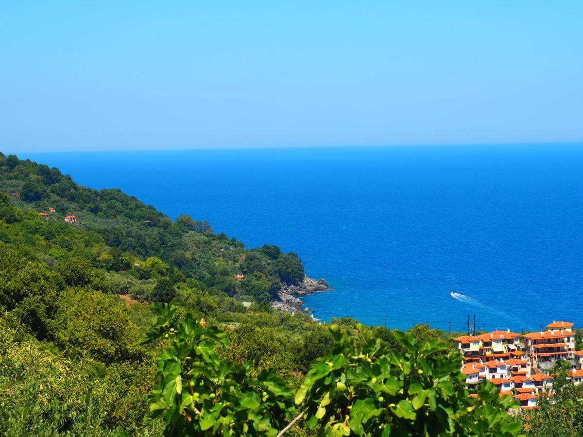 Felitsia Apartments & Studios Agios Ioannis  Exterior photo