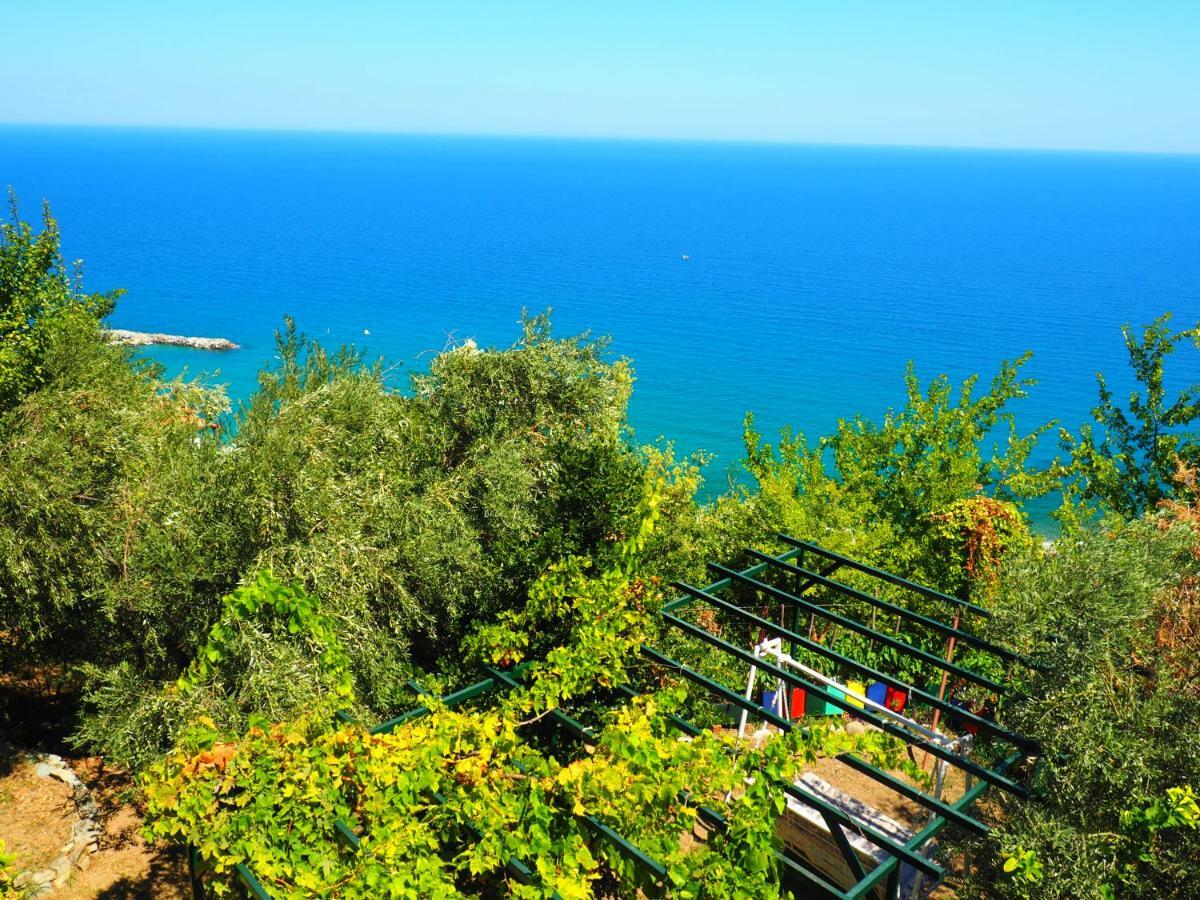 Felitsia Apartments & Studios Agios Ioannis  Exterior photo